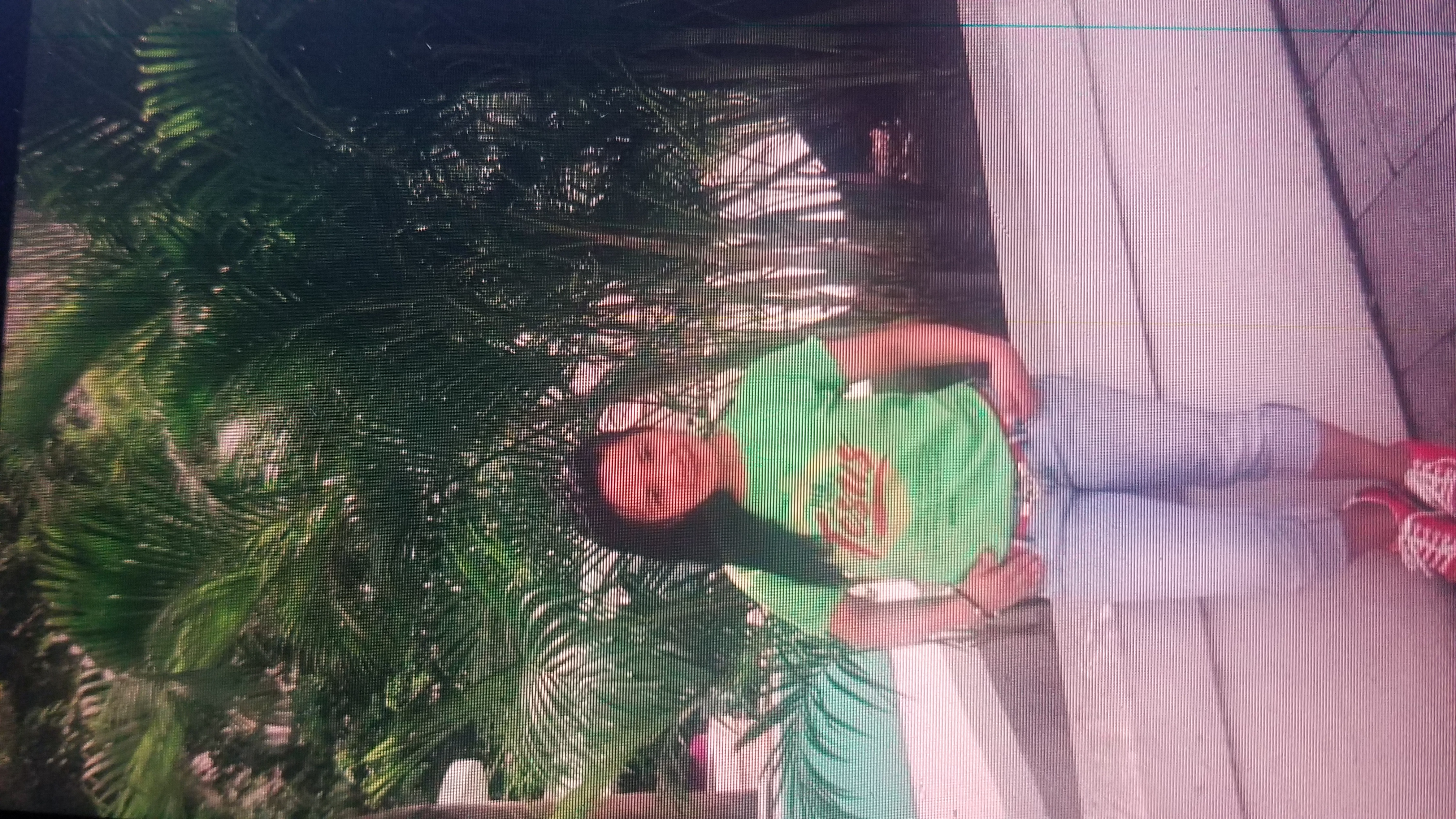 profil-picture